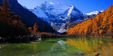 火影忍者手游赤土强吗 火影忍者手游赤土角色介绍