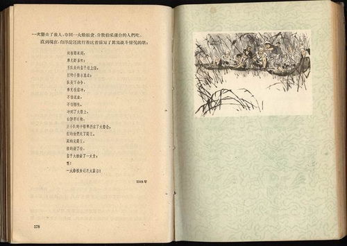 白洋淀纪事读书笔记摘抄，白洋淀纪事电子书在线阅读