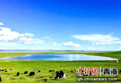 青海省黄南州泽库县人口密度怎么样