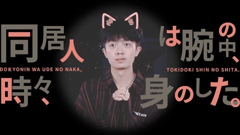 王心凌爱的天灵灵歌词