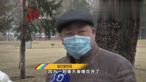 白雪却嫌春色晚,故穿庭树作飞花。(唐代韩愈《春雪》全文翻译赏析)_百度