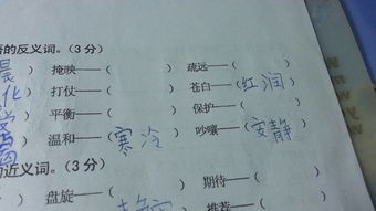 冷淡的反义词。