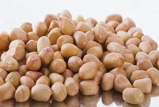 生花生米的功效与作用有哪些，晚上吃生花生米的功效与作用