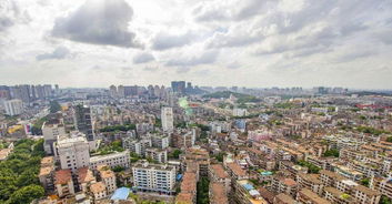 中山在广东省哪个位置