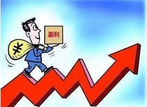 销售毛利润是什么意思，毛利润是什么意思净利率利润是什么意思