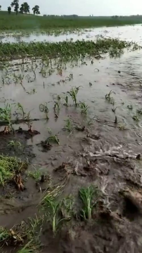 垧的拼音，垧和亩怎么换算