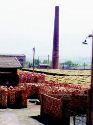 发财路上下句怎么说，发财树图片