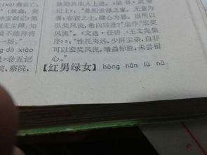 红开头的成语有哪些?