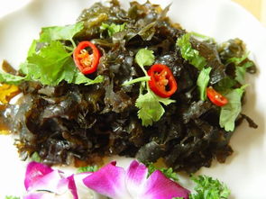 地皮菜是什么菜?它有什么营养?