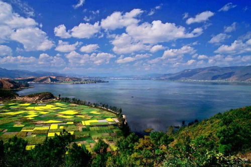 石屏异龙湖需要多少钱门票