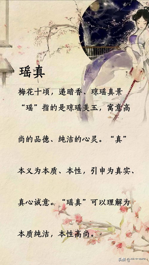 高耸入云的意思