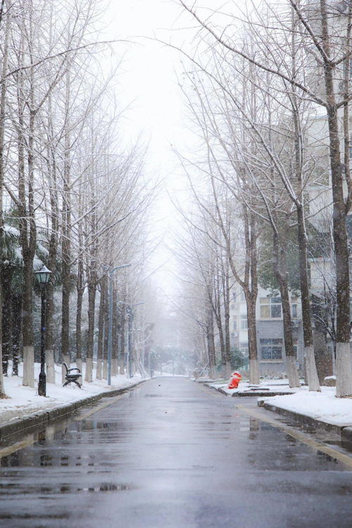 窣云，窣堵坡读音