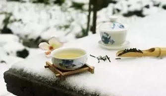 烹茶的拼音，烹茶的过程