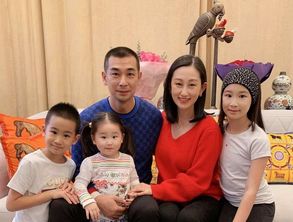 回国团圆个个有打一字 答案是什么