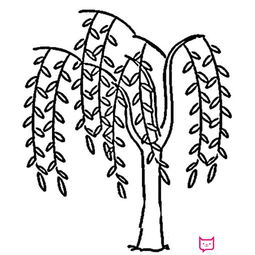 简笔画柳树图片，简笔画柳树枝