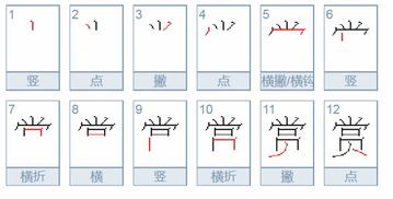 赏能组什么词语