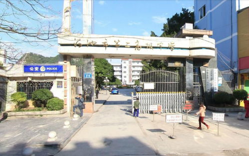 河池有哪些高中?