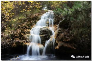 小溪流的歌是一首什么样的歌? 这首歌体现了什么精神?( 2 分)_百度知 