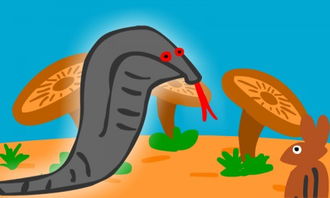 squirrel松鼠怎么读，squirrels英语怎么读