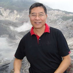 忍冬大概讲什么