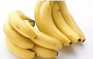 一个香蕉英语怎么说，你喜欢苹果还是香蕉英语怎么说