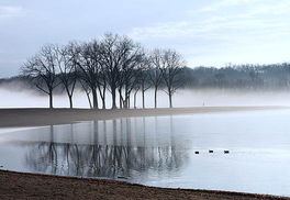 野旷天低树的下一句是什么作者是谁，野旷天低树旷的意思