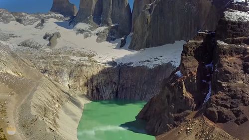 寂寂竟何待朝朝空自归的意思，寂寂竟何待朝朝空自归打一动物