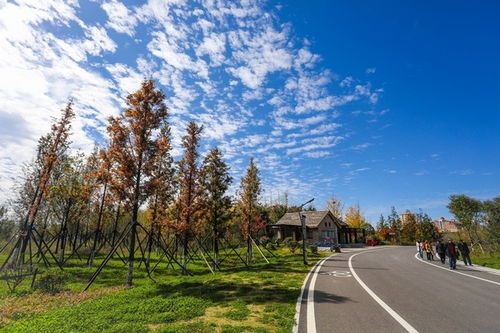 青海海北州在哪里