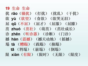 鲨的组词大全(约50个) 鲨的词语解释_鲨是什么意思?