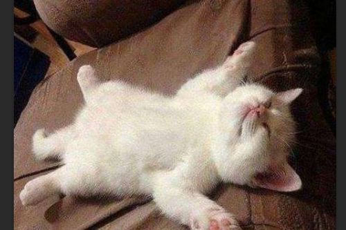 仰面朝天的意思和造句，什么朝天四字成语