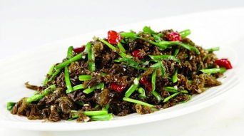 地皮菜图片功效与作用，地皮菜的功效与禁忌