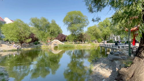 夏景宗，夏景描写