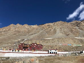 东躲西藏什么意思