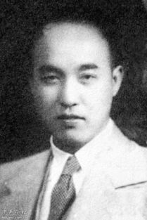 胡风反革命集团案的司法定罪及受牵连人物