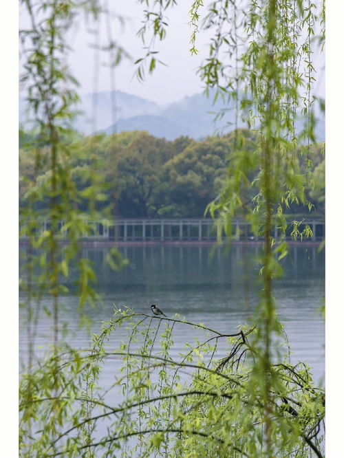 2022杭州梅雨季节是什么时间