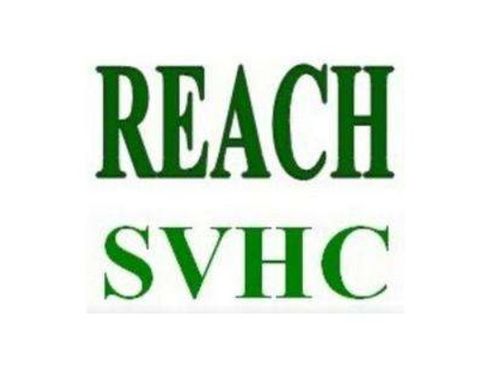 reach是什么意思