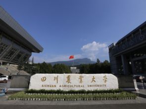 四川农业大学怎么样在四川人眼里，四川农业大学怎么样怎么收费