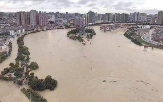 最近有哪些好听的新歌