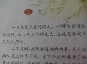 似的读音是什么?