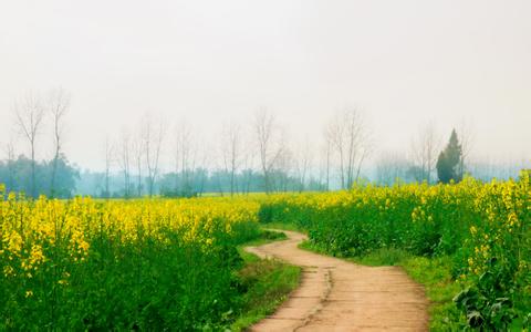 潼南区天气预报30天准确，潼南天气情况