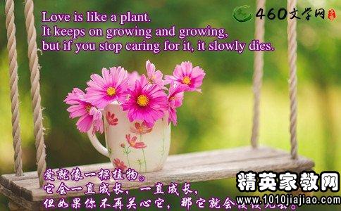 对工作积极向上的正能量句子精选