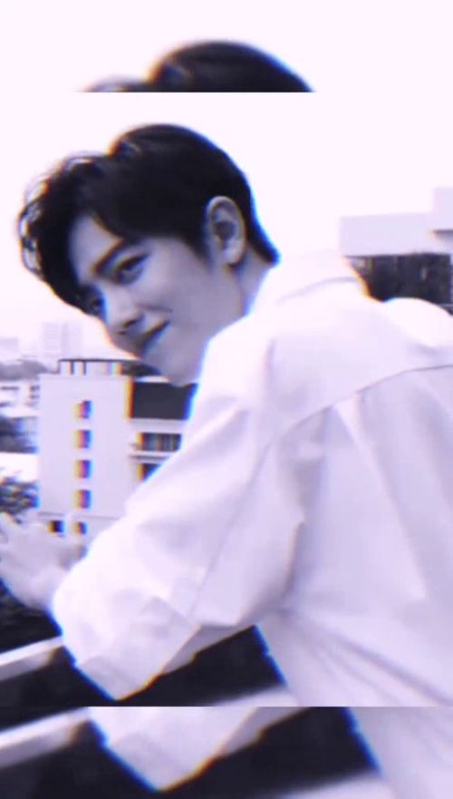 风的反义词有哪些