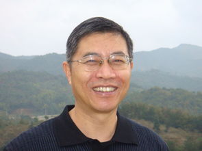 许辉耀个人简历，许辉雷媛媛是什么电视剧里的人