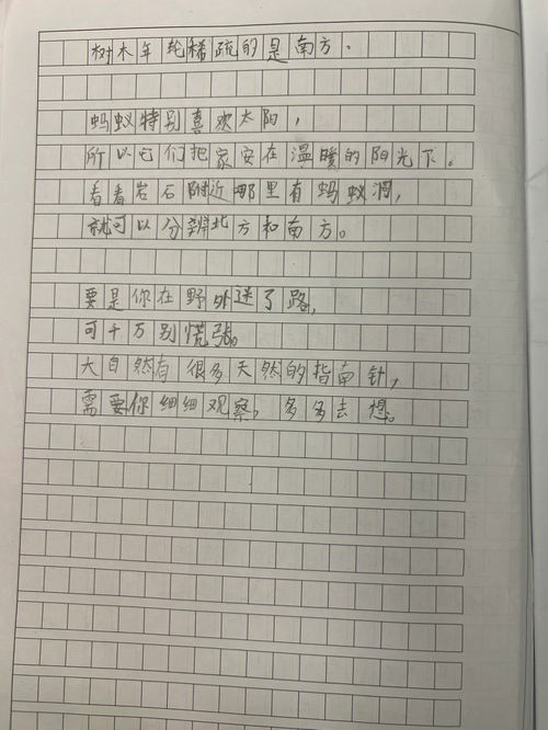 二年级作文300字优秀作文，二年级作文100字左右