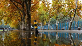 [凤凰于飞]刘欢 歌词