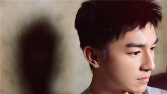 人面桃花出自哪首诗