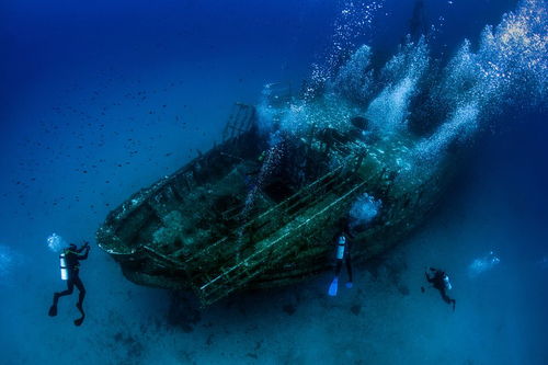 《海底两万里》主要内容概括20字