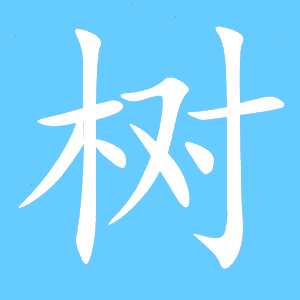 树的笔顺结构，树的笔顺怎么写笔画视频教程