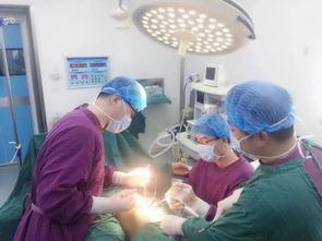 抢救的意思-抢救造句