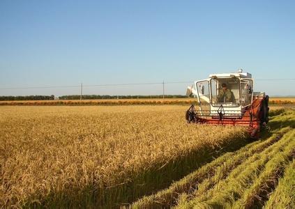 垧字的意思 垧是什么意思